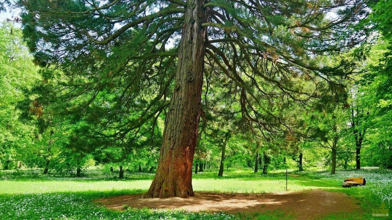Agropenzion 7Divov Dolna Krupa Dış mekan fotoğraf